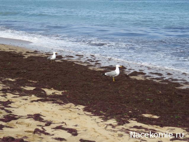 "Живой уголок"