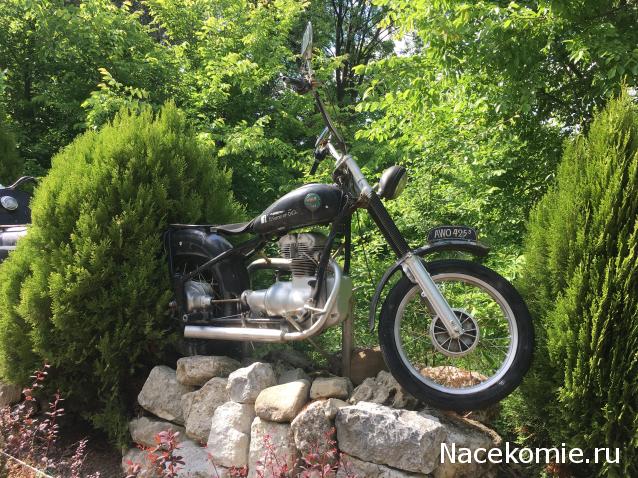 Автолегенды вживую