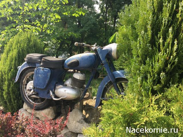 Автолегенды вживую