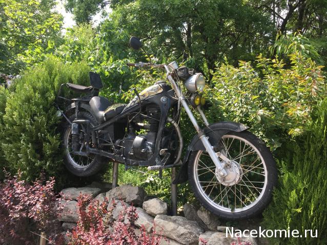 Автолегенды вживую