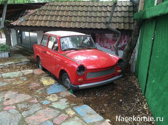 Автолегенды вживую