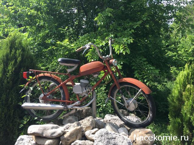 Автолегенды вживую