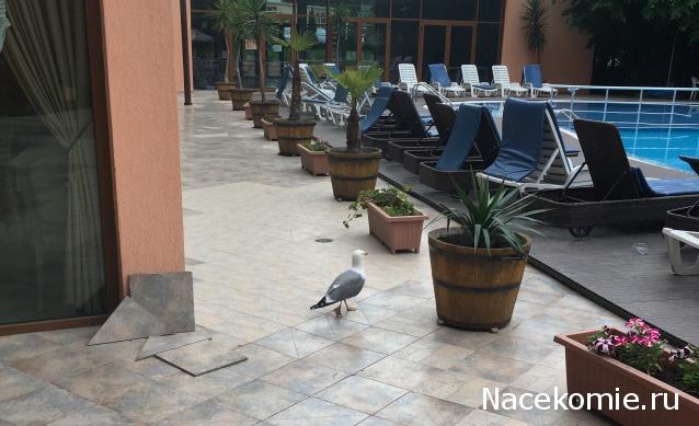 "Живой уголок"