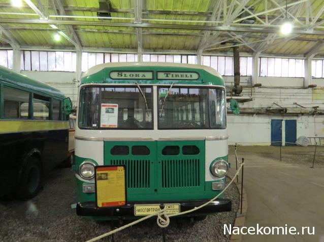 Автолегенды вживую