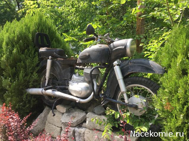 Автолегенды вживую