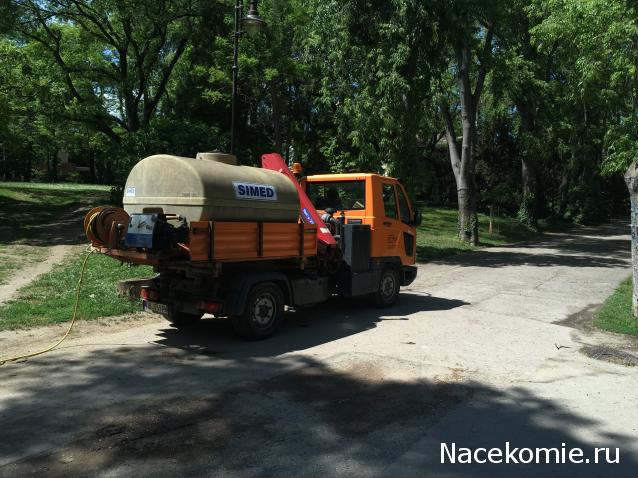 Автолегенды вживую