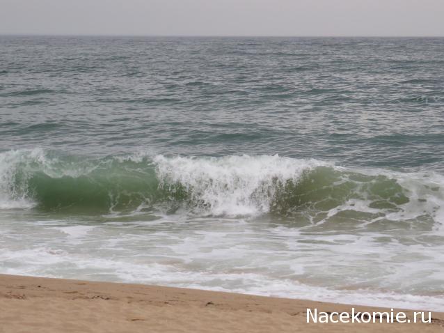 "Живой уголок"