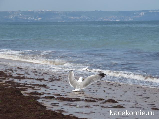 "Живой уголок"