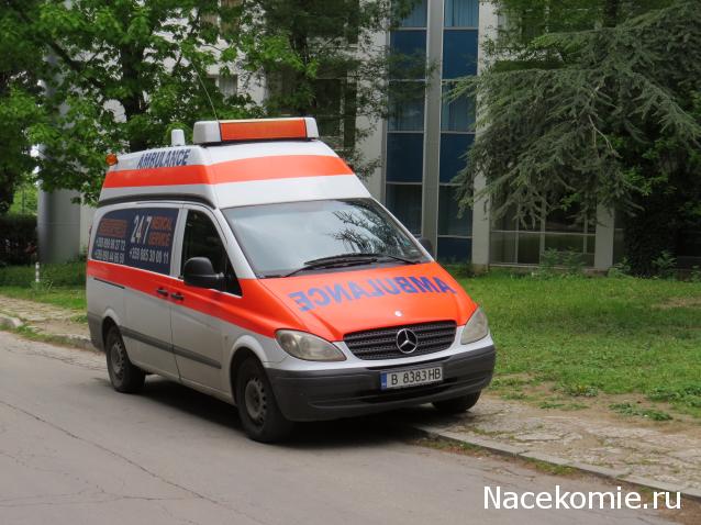 Автолегенды вживую