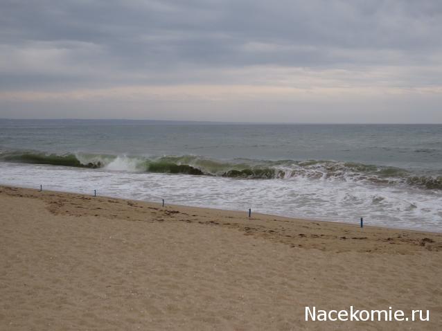 "Живой уголок"