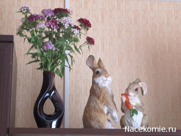 Margaritka. Гасиенда Каса де лос Суэньос