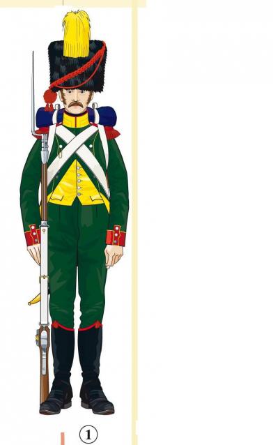 Наполеоновские Войны - График выхода и обсуждение