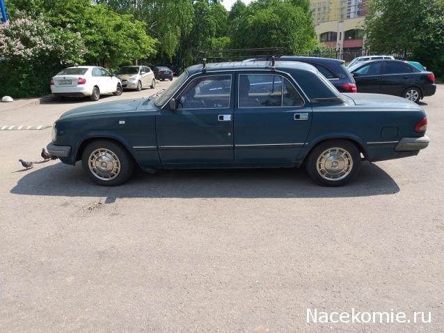 Автолегенды вживую