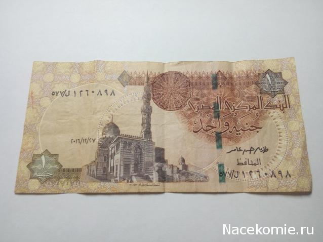 Моя коллекция монет и банкнот