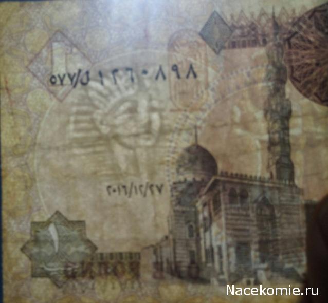 Моя коллекция монет и банкнот