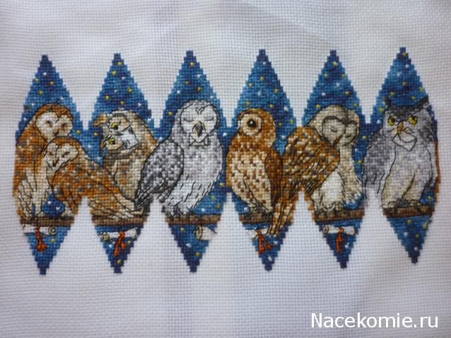 100 крестиков!