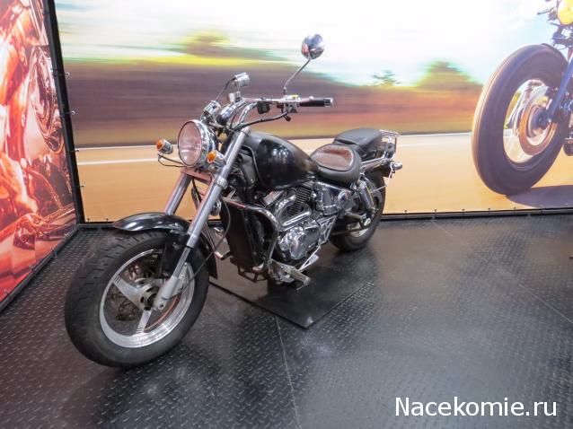 Автолегенды вживую