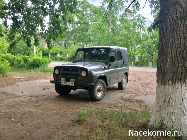 Автолегенды вживую