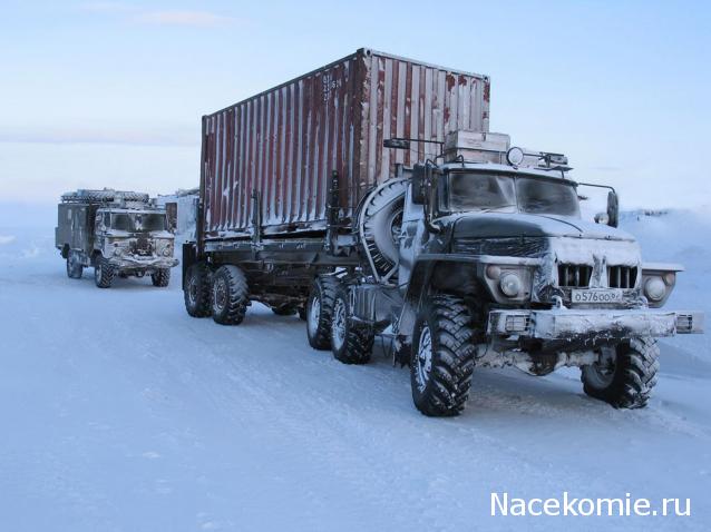 Праздник каждый день - поздравлялка Авторазделов