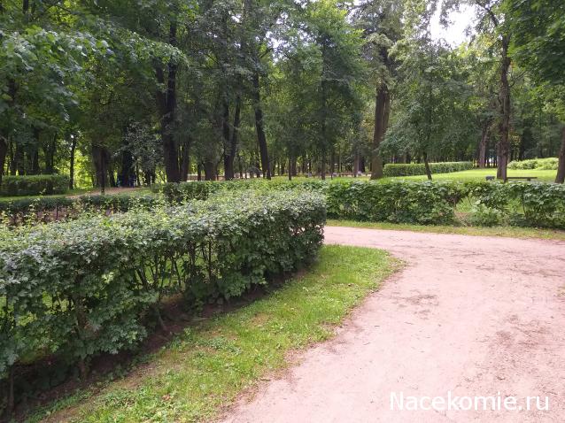 Тракторная болталка