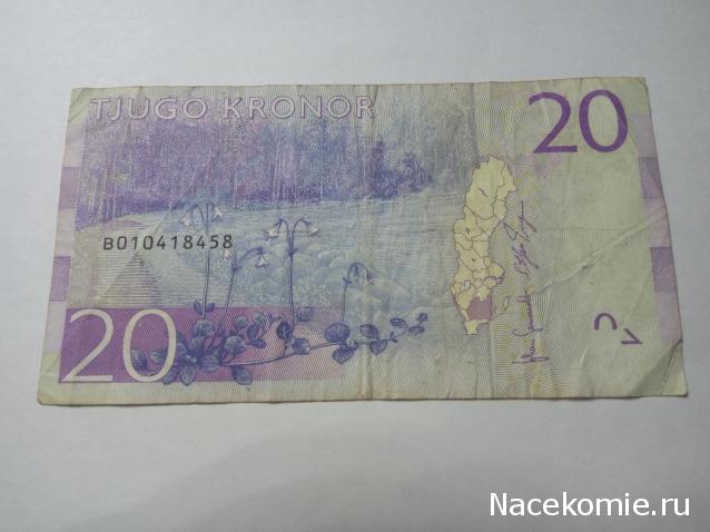 Моя коллекция монет и банкнот