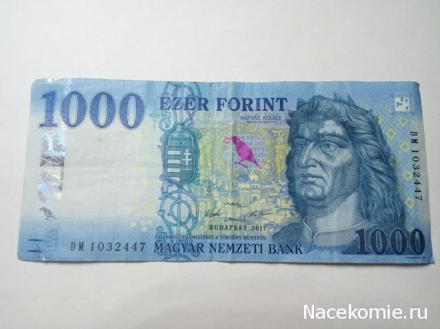 Моя коллекция монет и банкнот