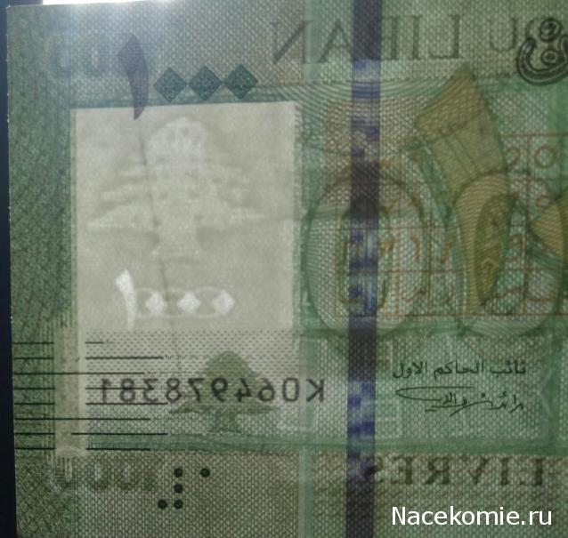 Моя коллекция монет и банкнот