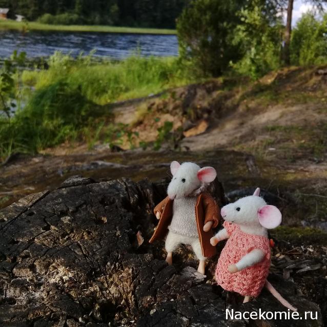 Annushka84 - Домик для медведей и кое-что еще