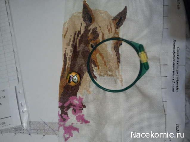 100 крестиков!