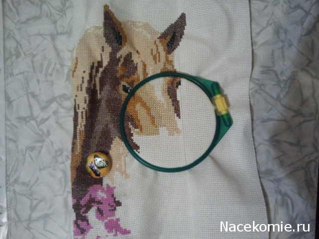 100 крестиков!