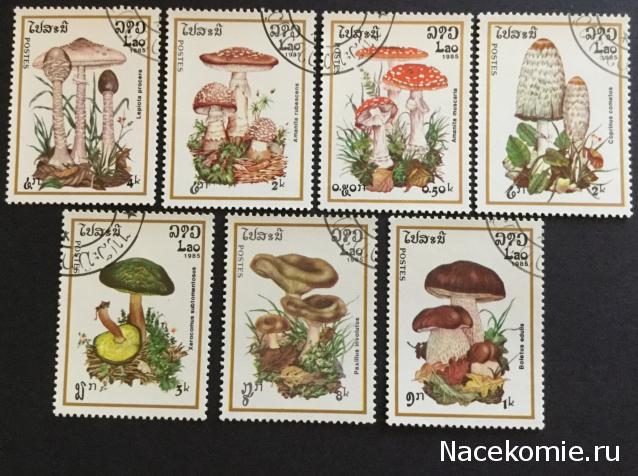 Почтовые марки Мира №249