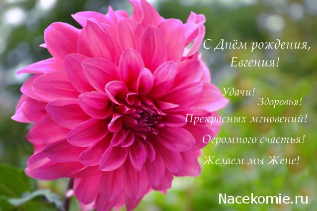 Eva1949 - Дом мечты-души моей воспоминания; 1Abrikoska - Мой гостеприимный дом