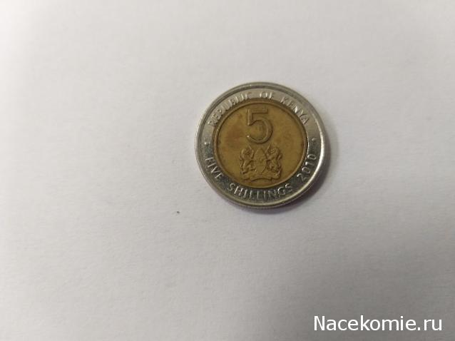 Коллекции пользователей. Нумизматика и бонистика