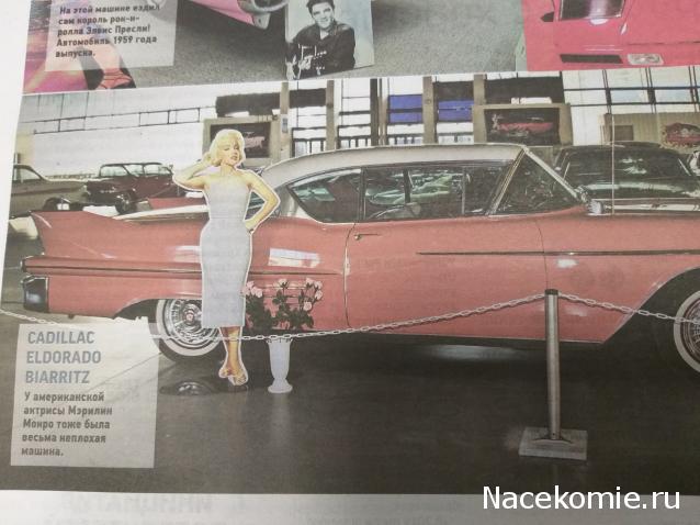 Болталка АЛ и АНС