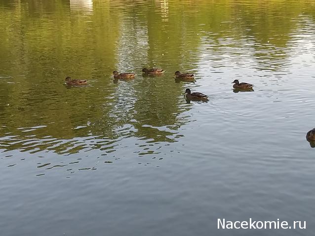 "Живой уголок"