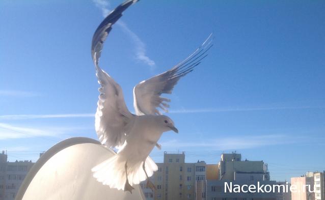 Легендарные советские автомобили - График выхода и обсуждение