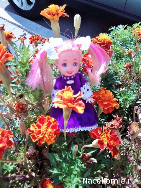 Liana65-Snegana - Мой будущий дом и его обитатели.