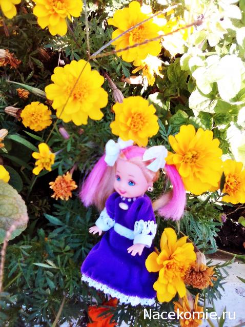 Liana65-Snegana - Мой будущий дом и его обитатели.