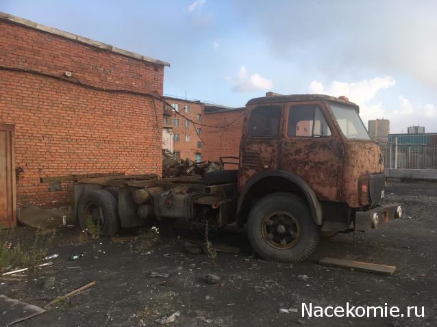 Автолегенды вживую