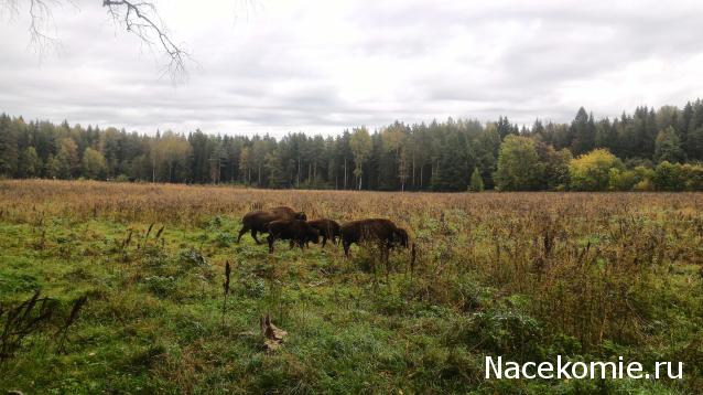 Мой любимый город или дорогие сердцу места