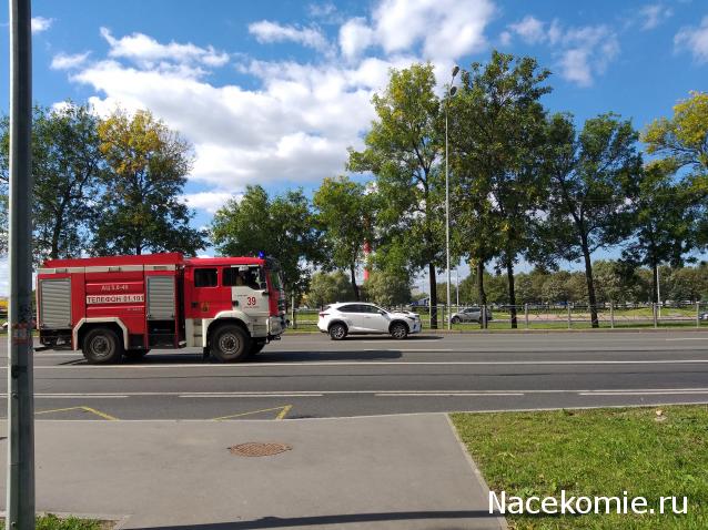 Автолегенды вживую