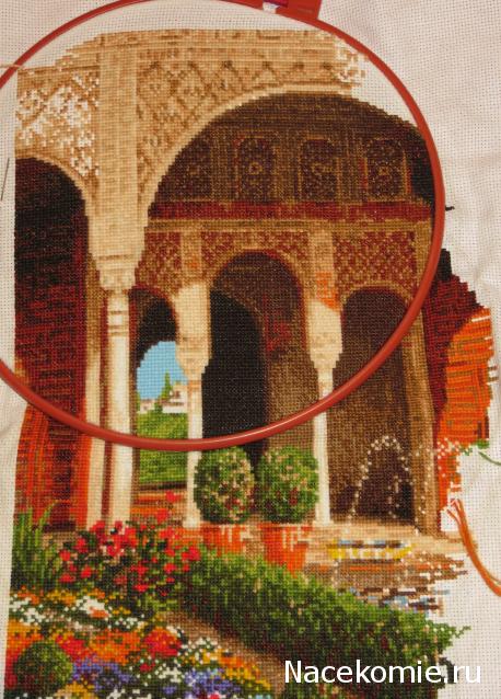 100 крестиков!