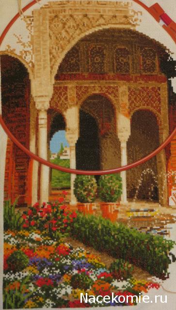 100 крестиков!