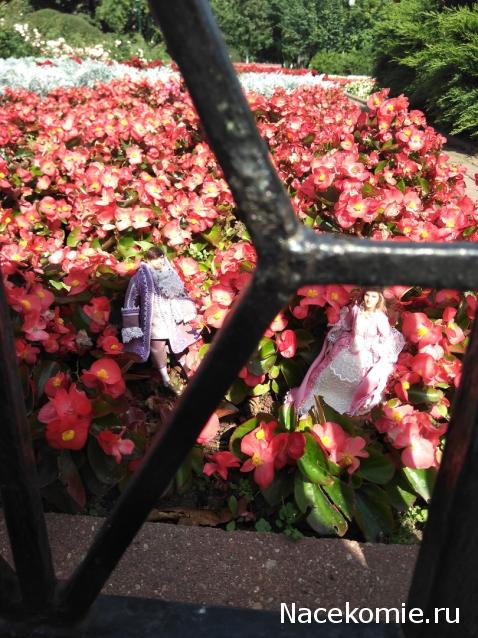 olga63- не знаю что получится