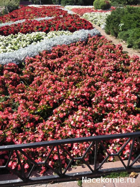 olga63- не знаю что получится