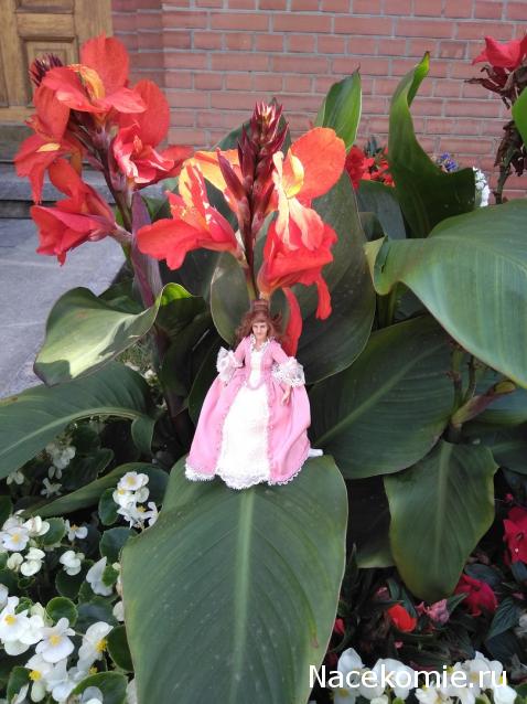 olga63- не знаю что получится