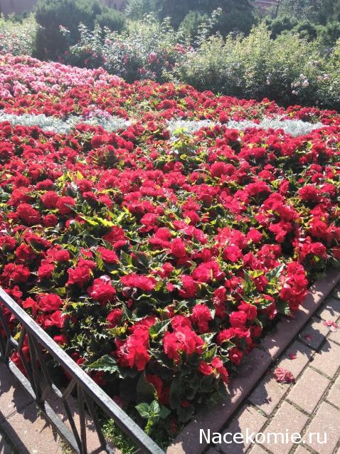 olga63- не знаю что получится