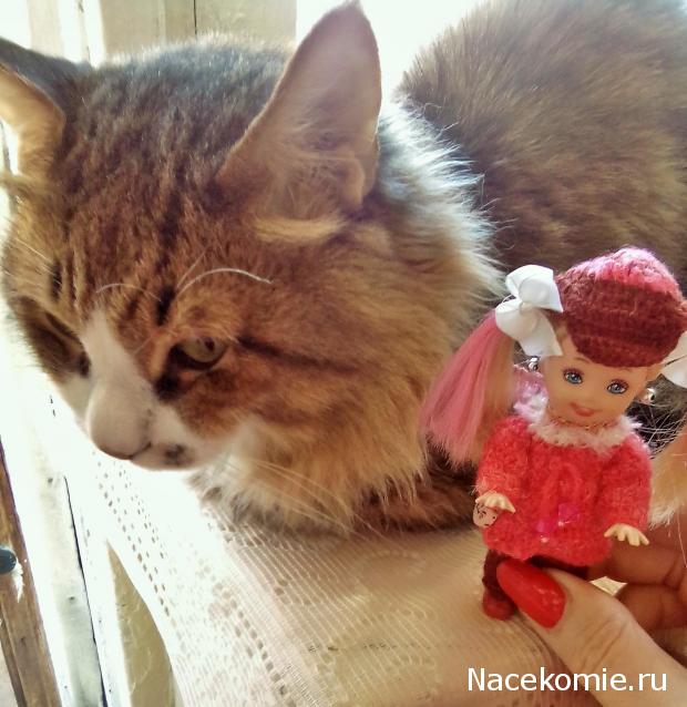 Фото кошек)))))