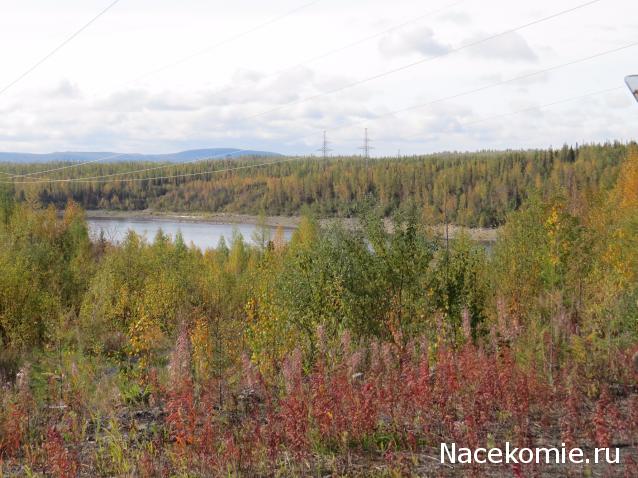 Тракторная болталка