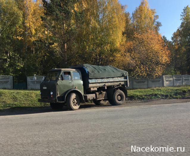 Автолегенды вживую